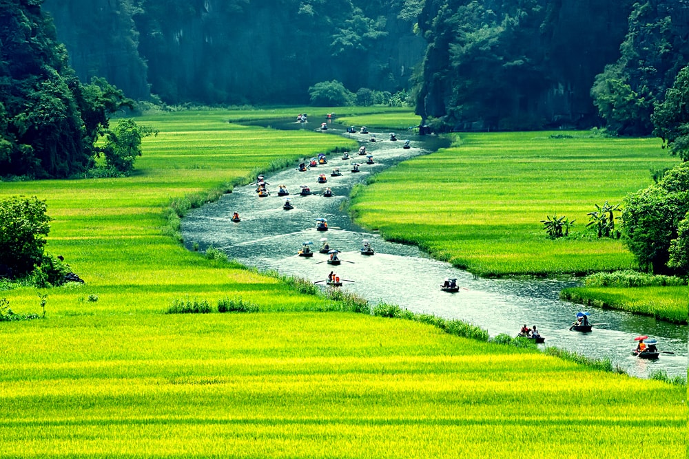 Tour Hoa Lư – Tam Cốc – hang Múa 1 ngày