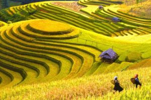 Tour ghép Hà Giang – Sapa 4 ngày 4 đêm  ( đi đêm về ngày)