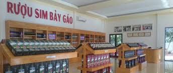 Tour Phú Quốc: Cano 3 đảo hàng ngày