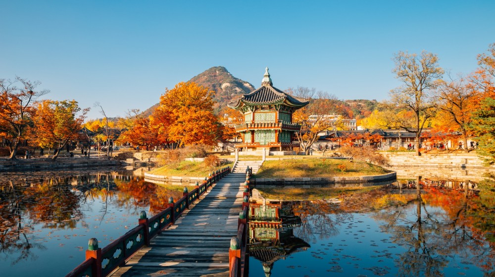 Lãng mạn mùa thu Hàn Quốc 2019
