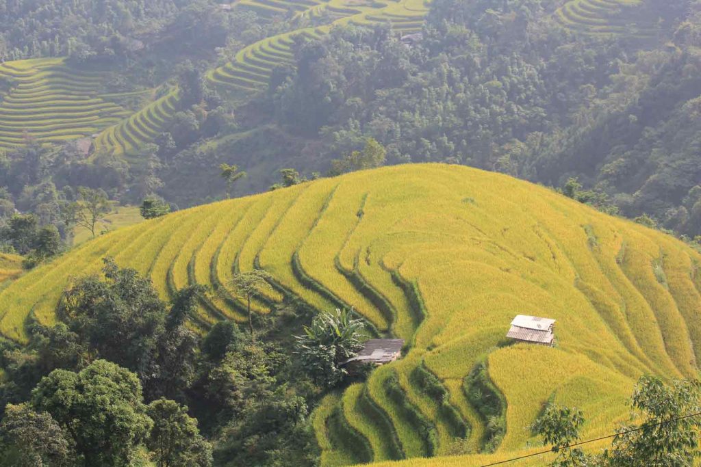 Tour hàng ngày: Hà Giang khám phá 3 ngày 4 đêm