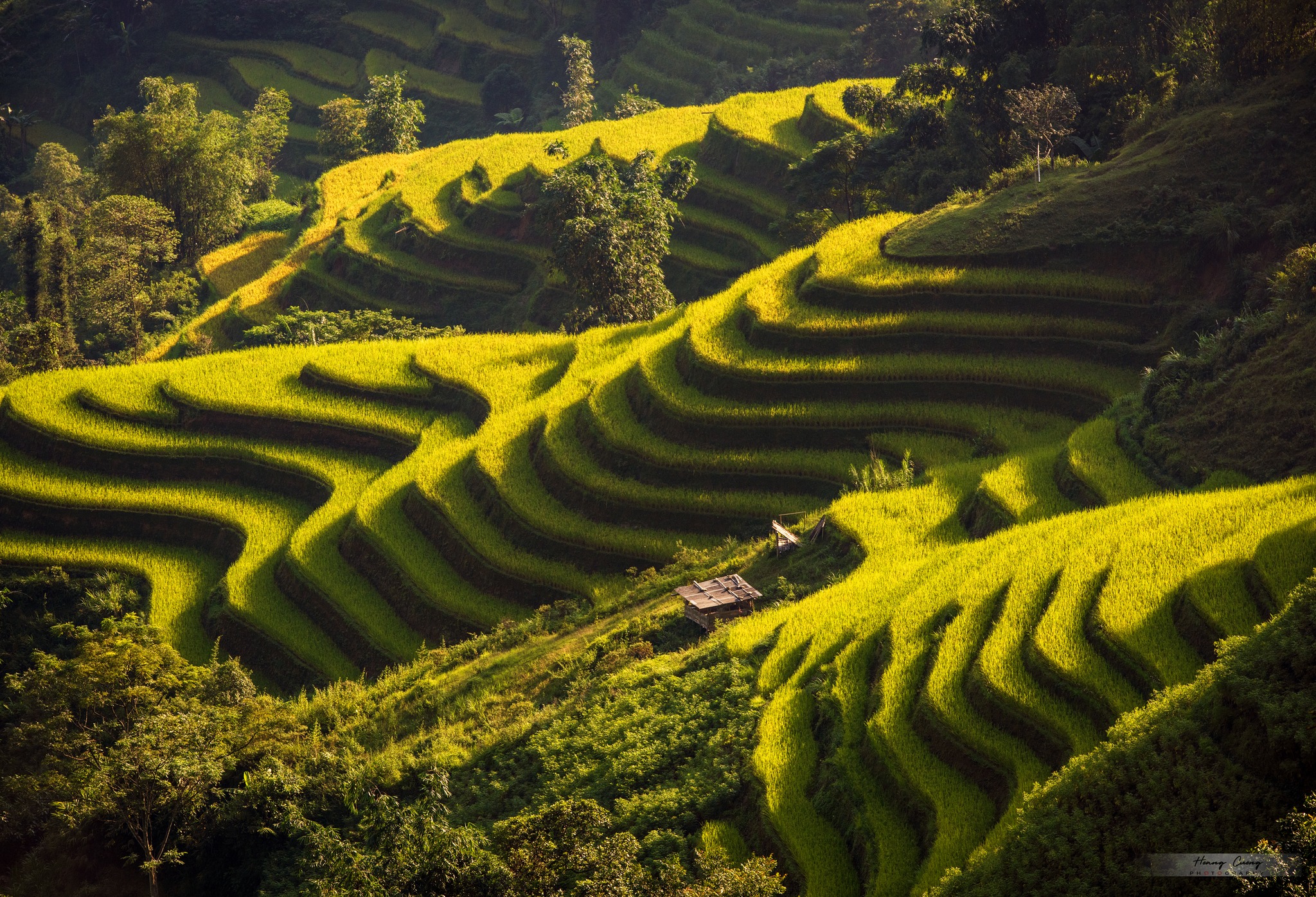 HOÀNG SU PHÌ – BẢN PHÙNG – SUÔI THẦU – ĐÈO GIÓ Thời gian: 2 ngày 1 đêm