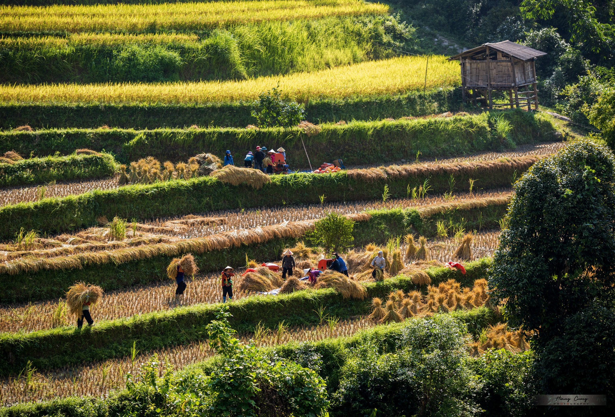 HOÀNG SU PHÌ – BẢN PHÙNG – SUÔI THẦU – ĐÈO GIÓ Thời gian: 2 ngày 1 đêm