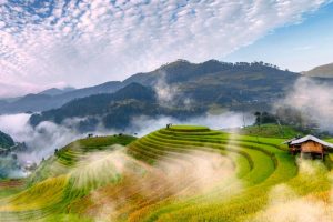 Tour MÙ CANG CHẢI – ĐÈO KHAU PHẠ – TÚ LỆ 2 ngày 1 đêm