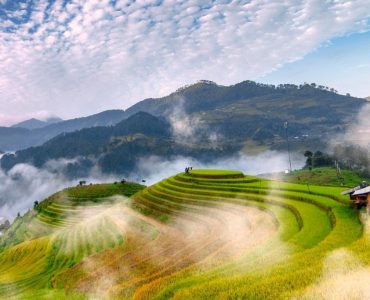 Tour MÙ CANG CHẢI – ĐÈO KHAU PHẠ – TÚ LỆ 2 ngày 1 đêm