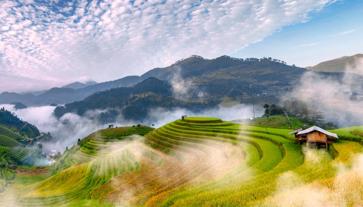 Tour MÙ CANG CHẢI – ĐÈO KHAU PHẠ – TÚ LỆ 2 ngày 1 đêm