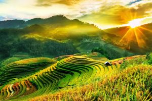 Tour Mù Cang Chải 3 ngày 2 đêm