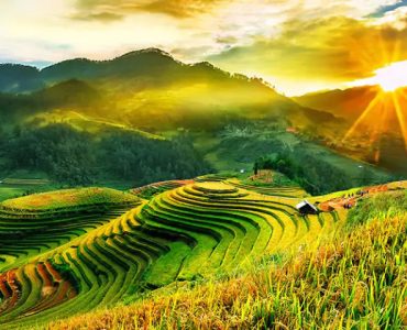 Tour Mù Cang Chải 3 ngày 2 đêm