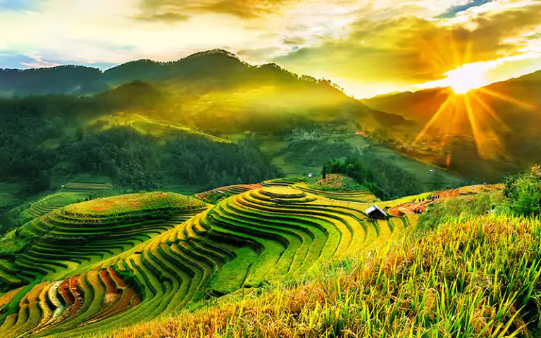 Tour Mù Cang Chải 3 ngày 2 đêm