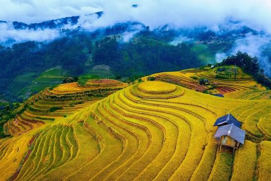Tour MÙ CANG CHẢI – ĐÈO KHAU PHẠ – TÚ LỆ 2 ngày 1 đêm