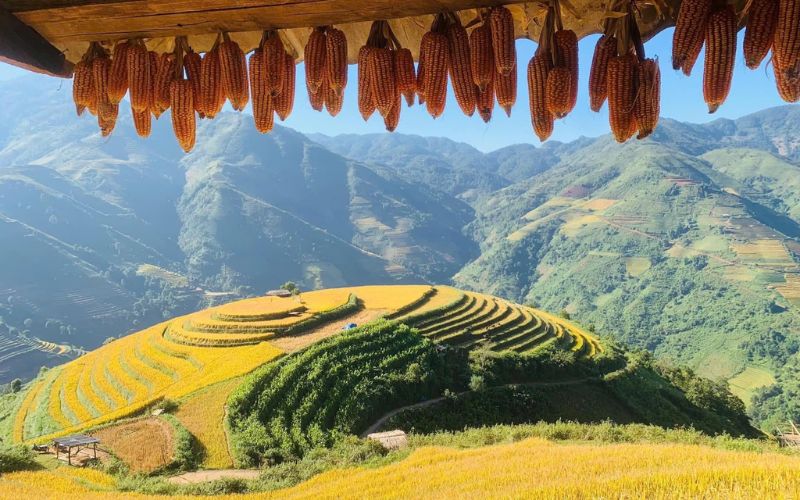 Tour Mù Cang Chải 3 ngày 2 đêm